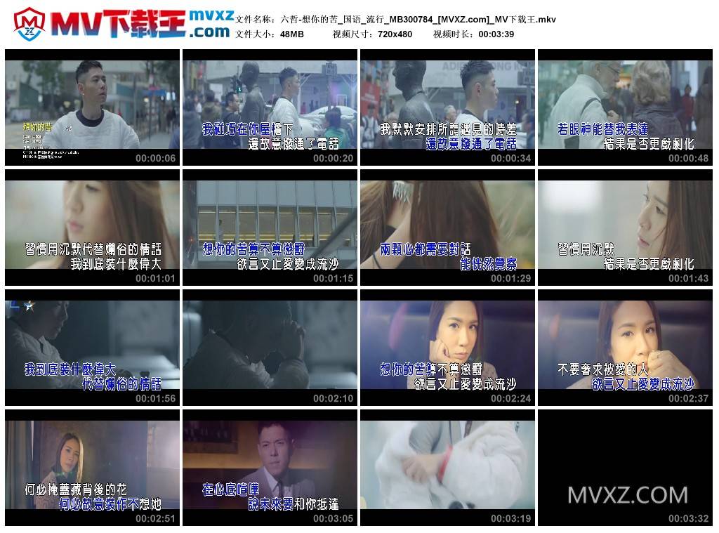 六哲-想你的苦_国语_流行_MB300784